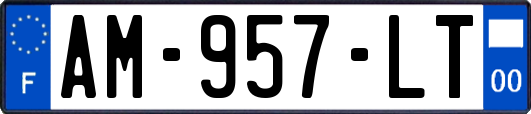 AM-957-LT