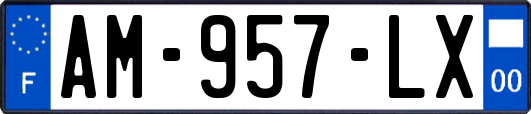 AM-957-LX
