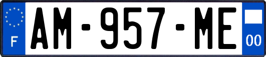 AM-957-ME