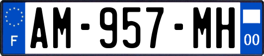 AM-957-MH