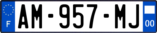 AM-957-MJ