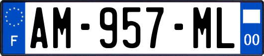 AM-957-ML