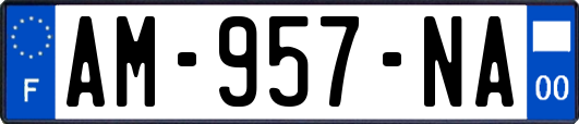 AM-957-NA