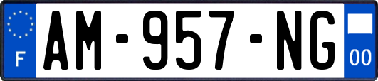 AM-957-NG