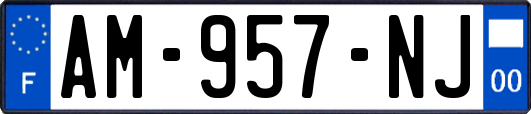 AM-957-NJ