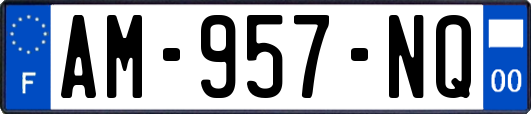 AM-957-NQ