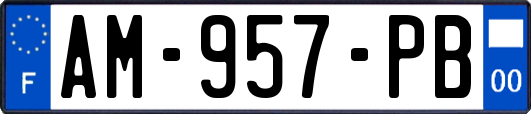 AM-957-PB