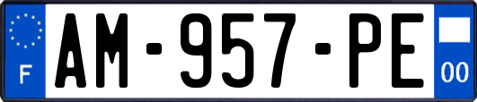 AM-957-PE