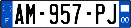 AM-957-PJ