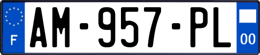 AM-957-PL