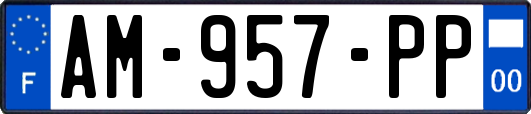 AM-957-PP