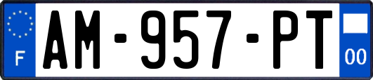 AM-957-PT