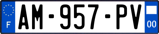 AM-957-PV