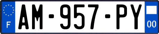 AM-957-PY