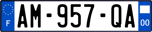 AM-957-QA