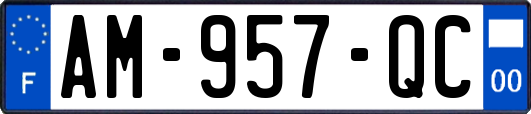 AM-957-QC
