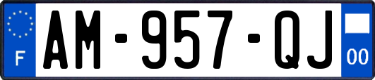 AM-957-QJ