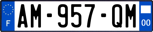 AM-957-QM