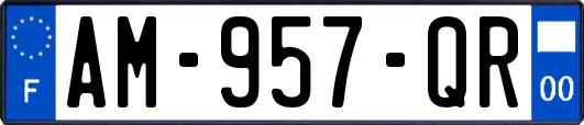 AM-957-QR