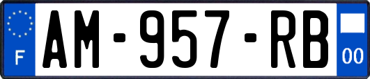 AM-957-RB