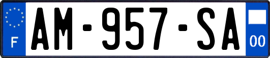 AM-957-SA