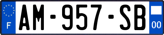 AM-957-SB