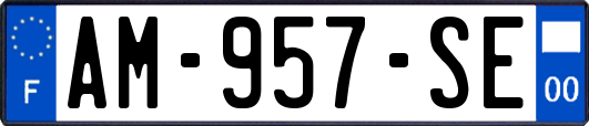 AM-957-SE