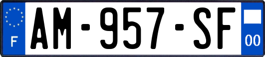 AM-957-SF
