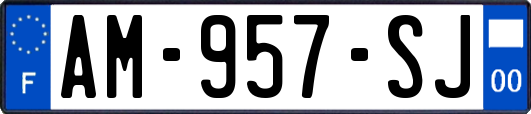 AM-957-SJ