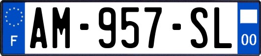 AM-957-SL