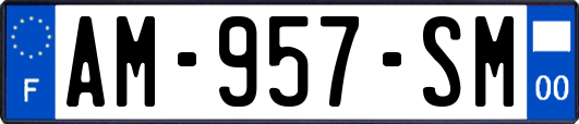 AM-957-SM