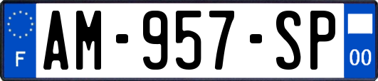 AM-957-SP