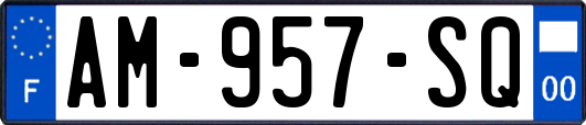 AM-957-SQ