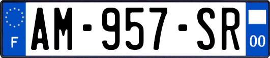 AM-957-SR
