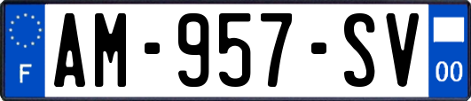 AM-957-SV