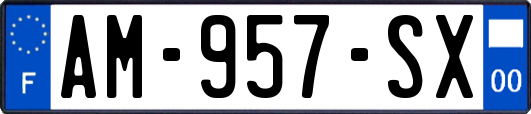 AM-957-SX
