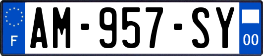 AM-957-SY