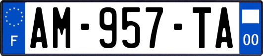 AM-957-TA