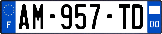 AM-957-TD