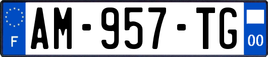 AM-957-TG