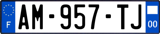 AM-957-TJ