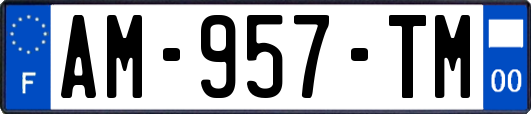 AM-957-TM