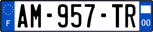 AM-957-TR