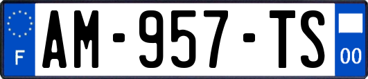 AM-957-TS