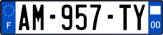 AM-957-TY