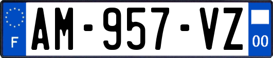 AM-957-VZ