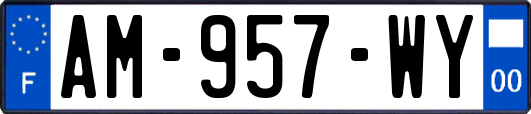 AM-957-WY