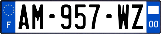 AM-957-WZ