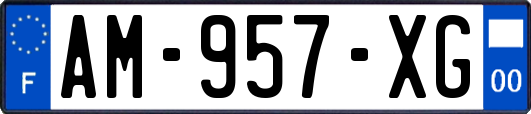 AM-957-XG