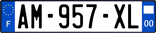 AM-957-XL